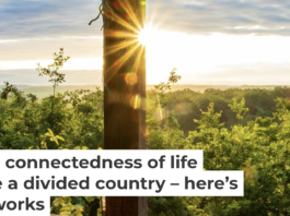 Meditation can make us more aware of the miracle of existence of everything in this world. Anna Sunderland Engels